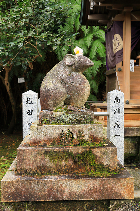 Omoyo Jinja Shrine, Kyoto Prefecture, Japan: Un shaped komarizumi  guardian rats  and Okuni sha Shrine hold the polka dots of longevity
