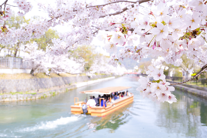 Okazaki cherry blossom ten stone boat