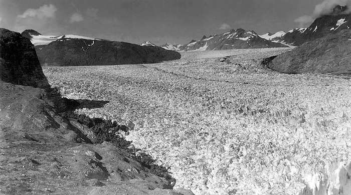 Muir Glacier, Alaska , in 1941 Glacial retreat. Image 1 of 2. Muir Glacier, Glacier Bay National Park, Alaska, photographed in 1941. Glaciers are large, slow moving expanses of ice, formed from compacted layers of snow. They are sensitive to climate change and in recent years most have retreated dramatically.  See image E235 391 for the same glacier seen in 2004. The National Snow and Ice Data Center  NSIDC  is a US body that supports research into snow, ice, glaciers, frozen ground and climate interactions that make up the Earth s cryosphere. The World Data Center for Glaciology  WDC  in Boulder, USA, is responsible for archiving all available glaciological information.