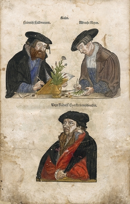 German botanical illustrators Fullmaurer, Meyer and Speckle German botanical illustrators Fullmaurer, Meyer and Speckle. Albrecht Meyer  upper right  was a botanical illustrator noted for his more than 500 plant images in Leonhart Fuchs s  De Historia Stirpium Commentarii Insignes   1542 . Meyer collaborated with the painter Heinricus Fullmaurer  upper left  and the engraver Veit Rudolph Speckle  bottom  to produce this book, which, unusually for its time, named the contributing artists and included their portraits. It is considered a masterpiece of the German Renaissance, setting a new standard for accuracy and quality. It was the first known publication of plants from the Americas, such as pumpkin, maize, marigold, potato, and tobacco. Plants were identified in German, Greek, Latin, and sometimes English. This illustration is from  New Kreuterbuch   1563  by Fuchs.