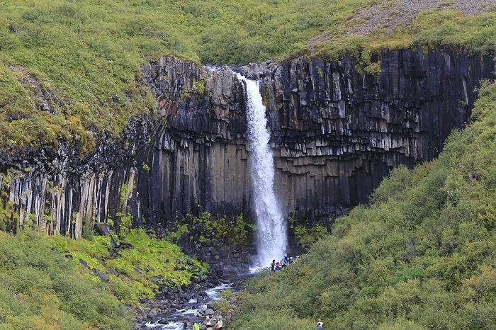 Waterfall and basalt columns Editorial use only   Svartifoss, a waterfall in Skaftafell National Park in Southern Iceland, descends over a cliff with basalt columns.