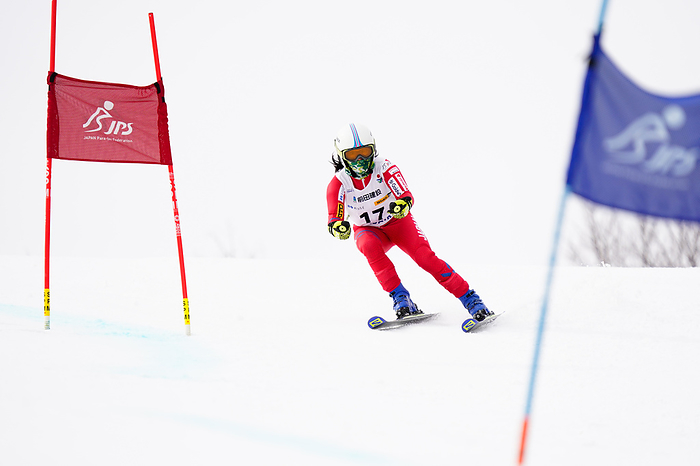 2020 Para Alpine Skiing Competitions Asia Cup Women s Giant Slalom Intellectual Disability Tomoyo Umezawa  JPN  February 14, 2020   Alpine Skiing :. Women s Giant Slalom Intellectual Disability at Sugadaira Pine Beak during 2020 World Para Alpine Skiing Asia Cup in Ueda, Nagano, Japan.  Photo by SportsPressJP AFLO 