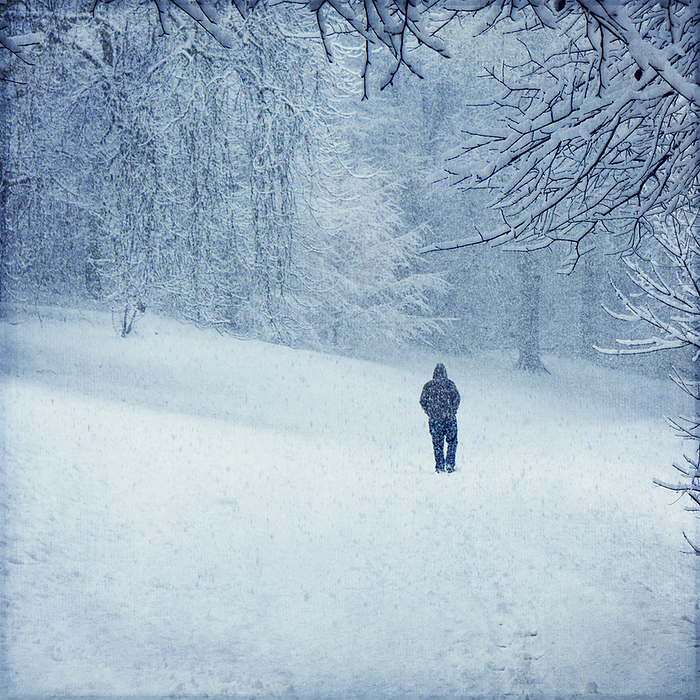 Forest in winter near Wuppertal, man during snow fall