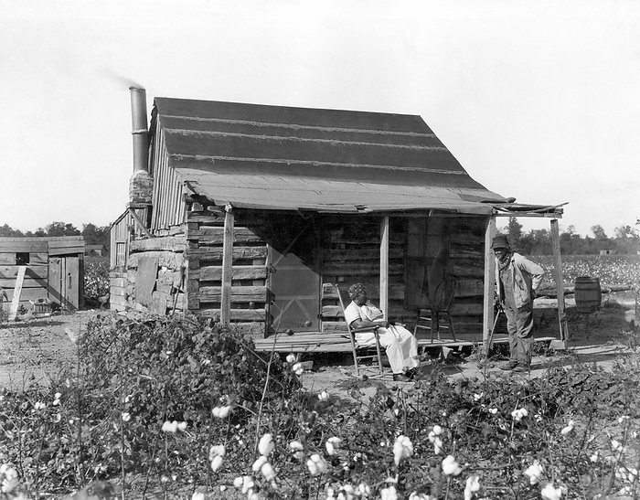 United States: c. 1895.
An old African American man and his wife at their cabin surrounded by cotton fields. They were formerly slaves.