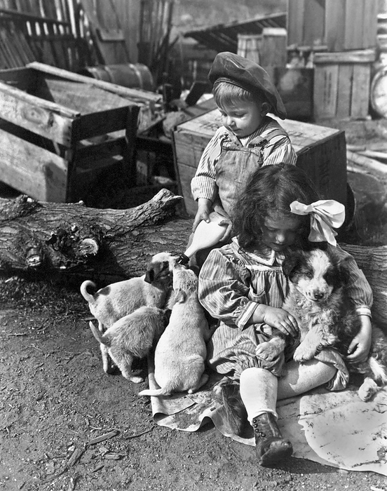 United States:  c. 1910.
A couple of farm kids take care of the new puppies, one feeding while the other one snuggles.