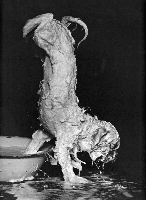 United States:  c. 1960.
A lathered up dog makes a soapy escape from its bath.