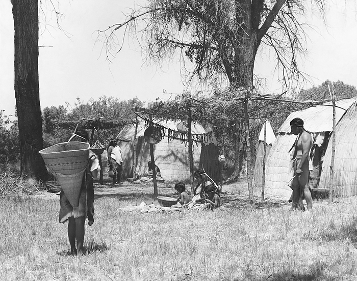 California:  c. 1930
California Native Americans lived in village communities that varied in size from a few families to several hundred people. The Yokut Indians of the San Joaquin Valley arranged their houses in orderly rows., and made sun shades in front of their houses for outdoor living