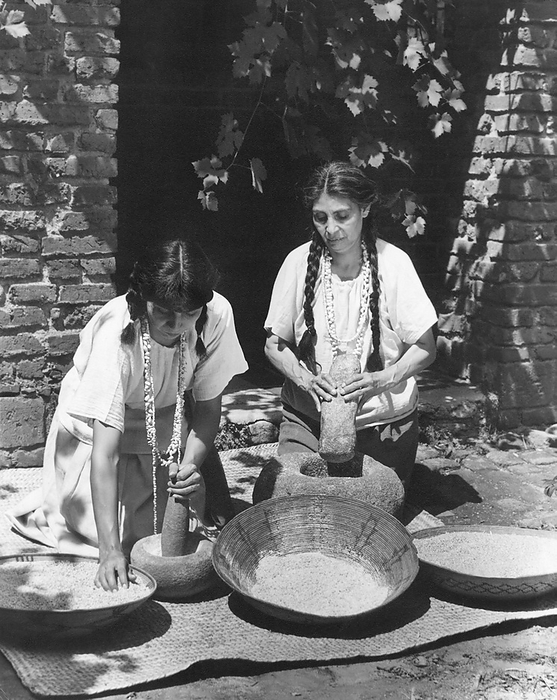 California:  c. 1930
After the kernels were separated from the chaff, the wheat was placed in stone mortars and pounded into a coarse meal with heavy stone pestles. These grinding tools had been used by the Native Americans long before the Spanish padres came to California.