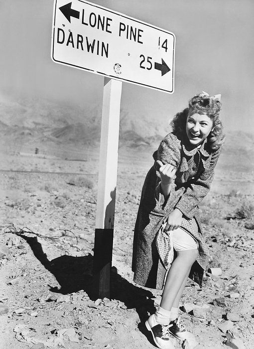 California:  1955
Actress Lori Nelson playfully shows some leg and hitchhikes while filming on location near Mt. Whitney.