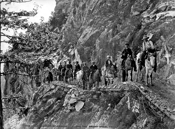 Grand Canyon, Arizona:  c. 1890.
Riders on mules on the Bright Angel Trail in the Grand Canyon.