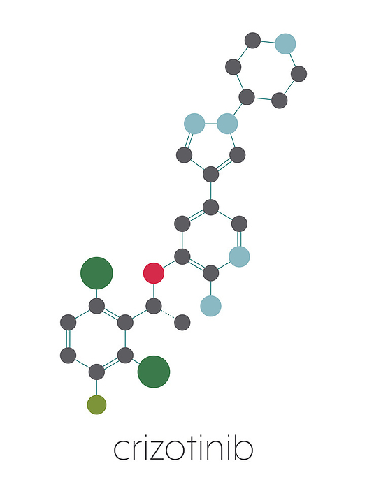 Crizotinib anti cancer drug molecule, illustration Crizotinib anti cancer drug molecule. Inhibitor of ALK and ROS1 proteins. Stylized skeletal formula  chemical structure . Atoms are shown as color coded circles connected by thin bonds, on a white background: hydrogen  hidden , carbon  grey , oxygen  red , nitrogen  blue , fluorine  cyan , chlorine  green .