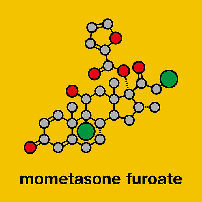 Mometasone furoate steroid drug molecule, illustration Mometasone furoate steroid drug molecule. Prodrug of mometasone. Stylized skeletal formula  chemical structure . Atoms are shown as color coded circles with thick black outlines and bonds: hydrogen  hidden , carbon  grey , oxygen  red , chlorine  green .
