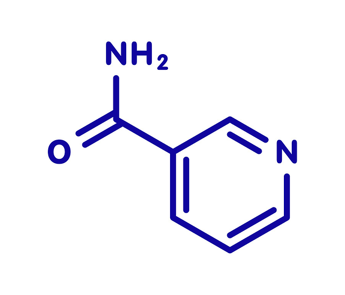 Nicotinamide adenine dinucleotide coenzyme molecule Nicotinamide adenine dinucleotide  NAD   coenzyme molecule. Important coenzyme in many redox reactions. Blue skeletal formula on white background.