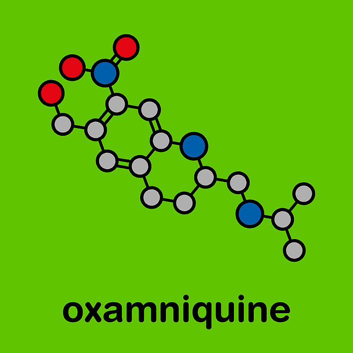 Oxamniquine anthelmintic drug molecule, illustration Oxamniquine anthelmintic drug molecule. Used to treat Schistosoma mansoni infections. Stylized skeletal formula  chemical structure . Atoms are shown as color coded circles with thick black outlines and bonds: hydrogen  hidden , carbon  grey , oxygen  red , nitrogen  blue .