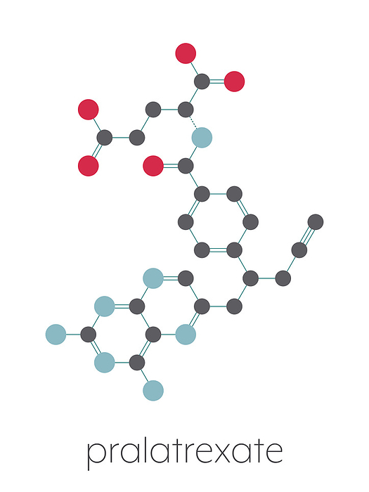 Pralatrexate cancer drug molecule, illustration Pralatrexate cancer drug molecule  antifolate class . Stylized skeletal formula  chemical structure . Atoms are shown as color coded circles connected by thin bonds, on a white background: hydrogen  hidden , carbon  grey , oxygen  red , nitrogen  blue , chlorine  green .