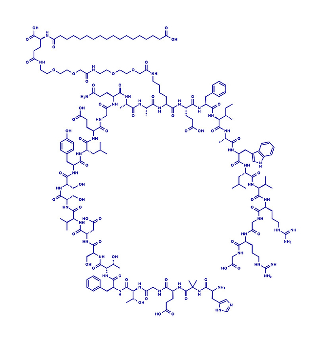 Semaglutide diabetes drug molecule, illustration Semaglutide diabetes drug molecule  incretin agonist . Blue skeletal formula on white background.