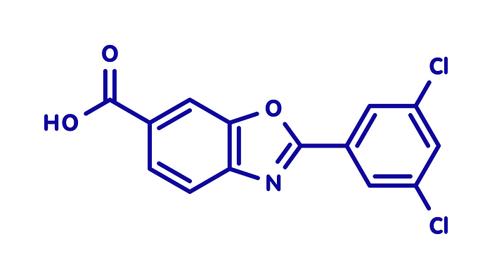 Tafamidis familial amyloid polyneuropathy drug molecule Tafamidis familial amyloid polyneuropathy  FAP  drug molecule. Blue skeletal formula on white background.