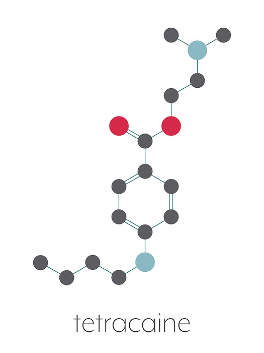 Tetracaine local anesthetic drug molecule, illustration Tetracaine local anesthetic drug molecule. Stylized skeletal formula  chemical structure . Atoms are shown as color coded circles connected by thin bonds, on a white background: hydrogen  hidden , carbon  grey , oxygen  red , nitrogen  blue .