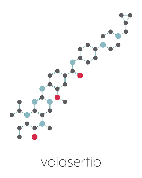 Volasertib cancer drug molecule, illustration Volasertib cancer drug molecule  PLK1 inhibitor . Stylized skeletal formula  chemical structure : Atoms are shown as color coded circles connected by thin bonds, on a white background: hydrogen  hidden , carbon  grey , nitrogen  blue , oxygen  red .