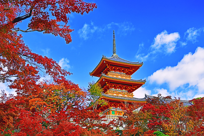 Kiyomizu Temple Autumn Color Kiyomizu Temple in Autumn