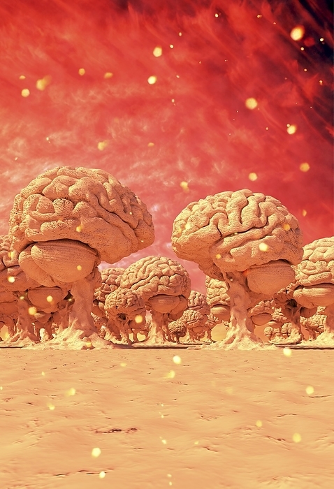 Forest of brains affected by fire, conceptual image Forest of brains affected by fire. Conceptual illustration of tree like brains in a fire ravaged landscape, representing global warming, climate change, and environmental awareness.