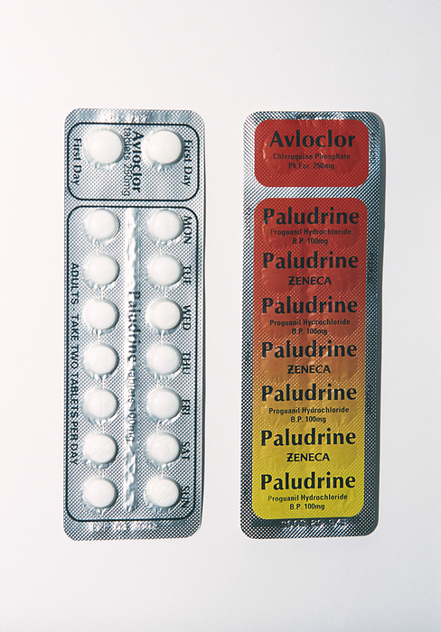 Antimalarial pills Antimalarial tablets, blister pack of Paludrine   Avloclor. Paludrine  proguanil hydrochloride  and Avloclor  chloroquine phosphate  are taken together as the malarial parasites in some areas are resistant to one of the drugs. People travelling to areas in which malaria is prevalent should take these pills before, during and after their trip. Malaria is caused by the presence of Plasmodium sp. parasites in the blood. The parasites are spread by the bites of infected female Anopheles sp. mosquitoes.