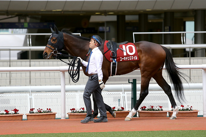 2020 Hanshin Grand Prize  G2  You Can Smile, MARCH 22, 2020   Horse Racing : You Can Smile is led through the paddock before the Hanshin Daishoten at Hanshin Racecourse in  Photo by Eiichi Yamane AFLO 