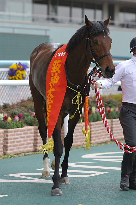 2020 Hanshin Grand Prize  G2  You Can t Smile Winner You Can Smile, MARCH 22, 2020   Horse Racing : You Can Smile won the Hanshin Daishoten at Hanshin Racecourse in Hyogo, Japan. Yamane AFLO 