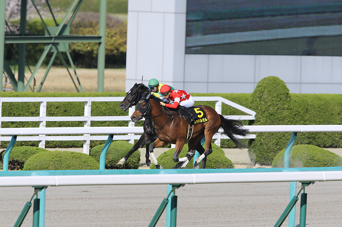 2020 Coral Stakes Red Rusel Winner Red le Zele  Yuga Kawada , APRIL 4, 2020   Horse Racing : Red le Zele  5  ridden by Yuga Kawada wins the Hanshin 11R Coral Stakes at Hanshin Racecourse in Hyogo, Japan.  Photo by Eiichi Yamane AFLO 
