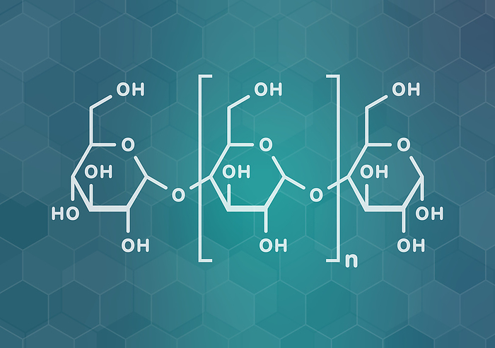 Amylose polysaccharide polymer, chemical structure. Component of starch (in addition to amylopectin). White skeletal formula on dark teal gradient background with hexagonal pattern.