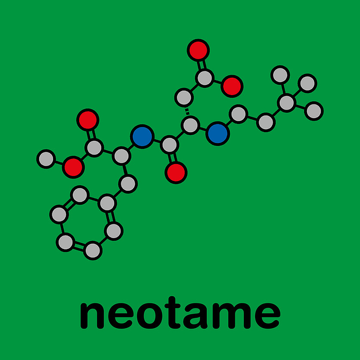 Neotame sugar substitute molecule, illustration Neotame  E961  sugar substitute molecule. Stylized skeletal formula  chemical structure . Atoms are shown as color coded circles with thick black outlines and bonds: hydrogen  hidden , carbon  grey , oxygen  red , nitrogen  blue .