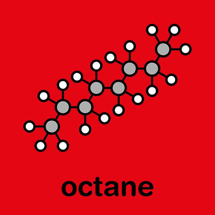 Octane hydrocarbon molecule, illustration Octane hydrocarbon molecule. Component of petrol  gasoline . Stylized skeletal formula  chemical structure . Stylized skeletal formula  chemical structure . Atoms are shown as color coded circles with thick black outlines and bonds: hydrogen  beige , carbon  grey .
