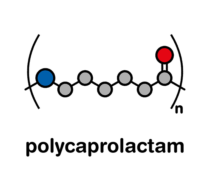 Polycaprolactam polymer chemical structure, illustration Polycaprolactam  nylon 6  polymer, chemical structure. Stylized skeletal formula: Atoms are shown as color coded circles with thick black outlines and bonds: hydrogen  hidden , carbon  grey , nitrogen  blue , oxygen  red .