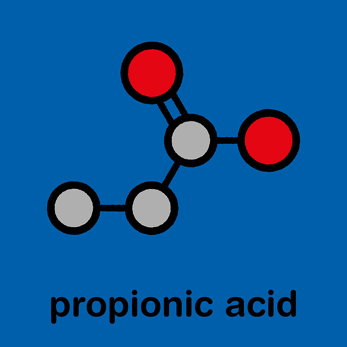 Propionic acid (propanoic acid) molecule. Used as preservative in food. Stylized skeletal formula (chemical structure). Atoms are shown as color-coded circles with thick black outlines and bonds: hydrogen (hidden), carbon (grey), oxygen (red).