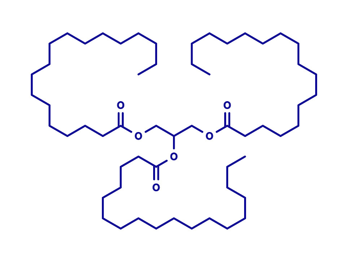 Stearin saturated fat molecule, illustration Stearin saturated fat molecule: triglyceride composed of glycerol and 3 saturated fatty acids  stearic acid . Blue skeletal formula on white background.