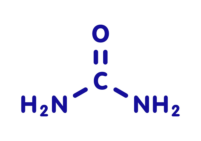 Urea or carbamide molecule Urea  carbamide  molecule. Used in cosmetics, fertilizer  present in urine. Blue skeletal formula on white background.