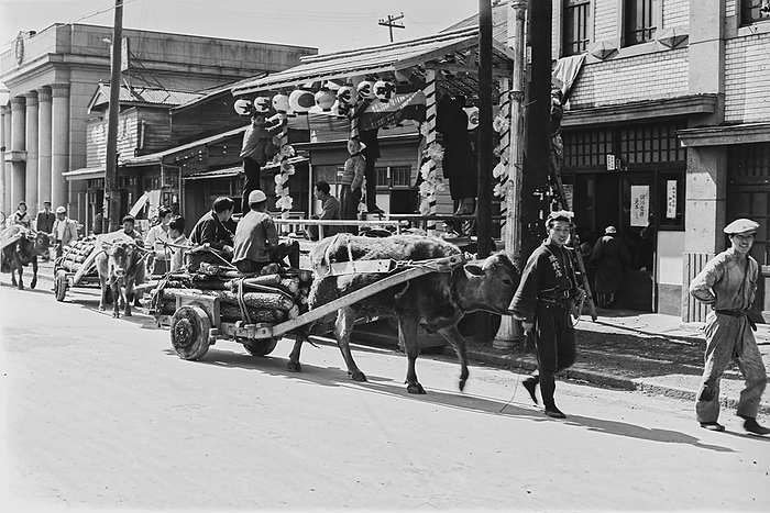 160202 0003   Ox carts Gyusha  ox carts  loaded with logs in front of shops, April 1947  Showa 22 .  Photo by MeijiShowa AFLO