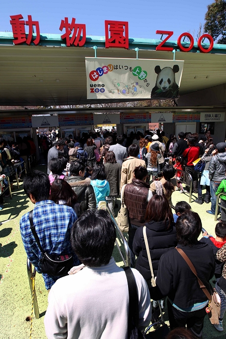 Pandas at the Ueno Zoo Thousands of people lined up before the zoo opened  April 1, 2011, Tokyo, Japan   People wait in a queue to see the first public appearance of two giant pandas from China at Ueno Zoo in Tokyo on Friday, April 1, 2011. Thousands of visitors flocked to catch a first glimpse of a pair of pandas on loan from China, in a welcome respite from the gloom over last month s massive earthquake and tsunami in northern Japan.   Photo by AFLO   1045   ty 