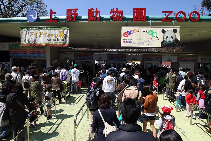 Pandas at the Ueno Zoo Thousands of people line up before the zoo opens  April 1, 2011, Tokyo, Japan   People wait in a queue to see the first public appearance of two giant pandas from China at Ueno Zoo in Tokyo on Friday, April 1, 2011. Thousands of visitors flocked to catch a first glimpse of a pair of pandas on loan from China, in a welcome respite from the gloom over last month s massive earthquake and tsunami in northern Japan.   Photo by AFLO   1045   ty 