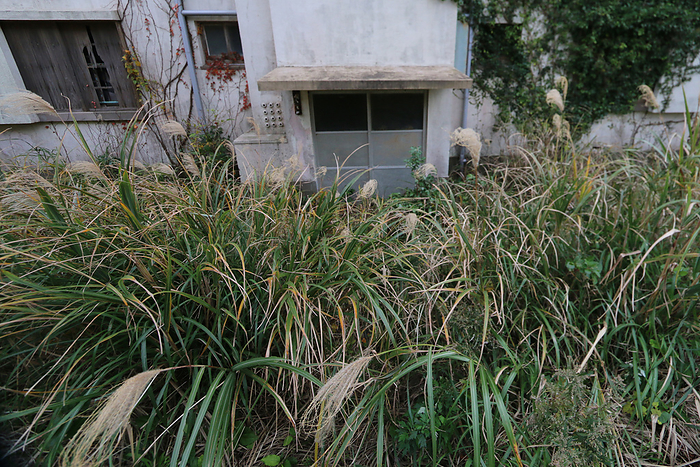 Ikejima, Nagasaki An entrance of an abandoned apartment building with tall grasses growing is pictured on former coal mining island Ikejima, off the coast of Nagasaki Prefecture, Japan, December 10, 2013. Ikejima, similar to the famous industrial heritage  Gunkanjima   Battleship island , once flourished with coal mining and employed thousands of people. Most of the apartment buildings, which housed formerly employed coal miners, are now empty after the coal mining facility closed in 2001. The decaying houses and machineries, covered with vegetations are attracting fans of abandoned or ruined townscapes, so called  Haikyo fans  in Japanese.   Photo by Yuriko Nakao AFLO 