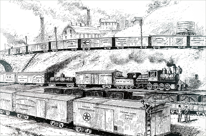Illustration depicting various freight wagons Illustration depicting various freight wagons in use in the United States. Dated 19th century 