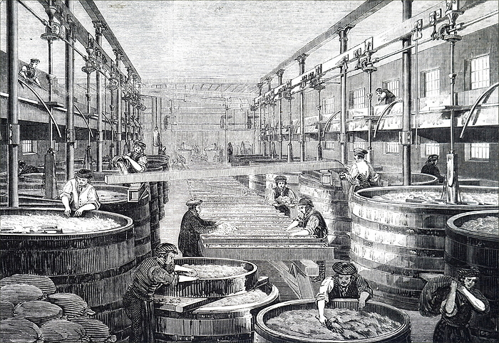 Engraving depicting the refining of cornflour Engraving depicting the refining of ground corn  maize  which  produced cornflour within the Brown and Polson s Cornflour factory, Paisley, Scotland. Dated 19th century
