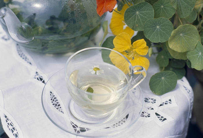 Herb tea and nasturtium