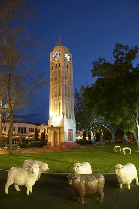 New Zealand Clock Tower Sheep Scuplture by artist Gary Hebley, and Historic Clock Tower, at dusk, Hastings, Hawkes Bay, North Island, New Zealand
