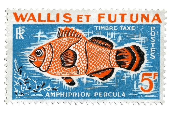 STAMPS, WALLIS AND FUTUNA STAMP of a series issued by the Post of Wallis and Futuna  French island territory in the southern part of the Pacific Ocean, mainly composed of the three tropical volcanic islands of Wallis, Futuna and Alofi  dedicated to the fish heritage of coral reefs: Amphiprion percula  clownfish   . Face value 5 francs, Wallis and Futuna, 1963