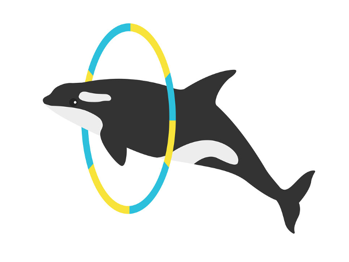 Clip art of killer whale show