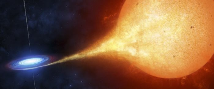 A compact object, or a black hole, is seen ripping off gas from its' sun-like companion.