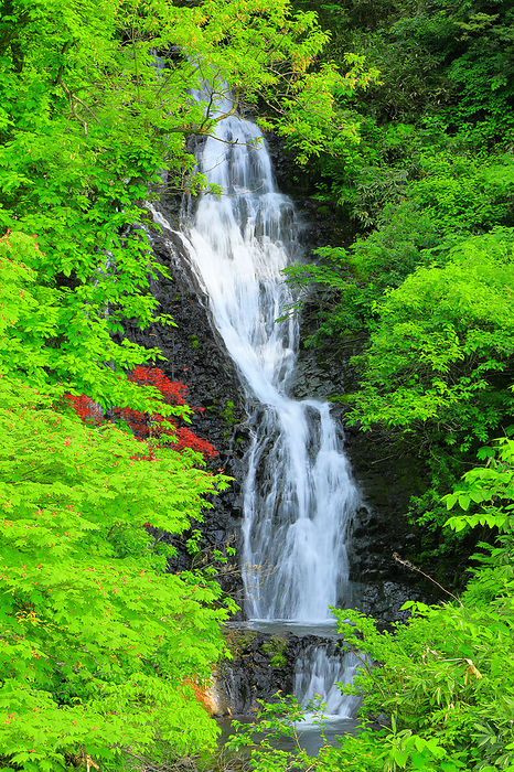 Nanataki Falls in early summer, Kosaka Town, Akita Prefecture: a tiered waterfall consisting of seven steps