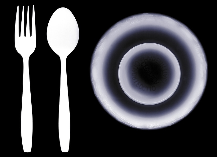 Spoon fork bowl and plate, X ray Spoon fork bowl and plate, X ray.