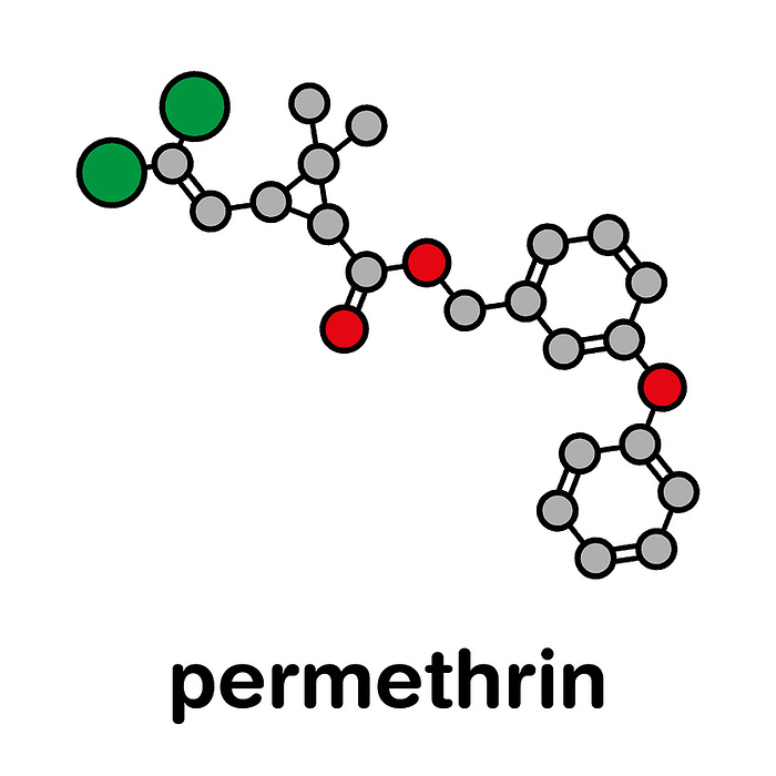 Permethrin pyrethroid insecticide, illustration Permethrin pyrethroid insecticide. Used to treat scabies and head lice in humans. Used to impregnate mosquito nets and in flea collars for dogs. Stylized skeletal formula  chemical structure : Atoms are shown as color coded circles: hydrogen  hidden , carbon  grey , oxygen  red , chlorine  green .
